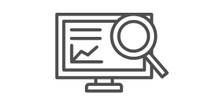 Monitor with magnifying glass icon