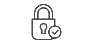 Lock with check mark icon